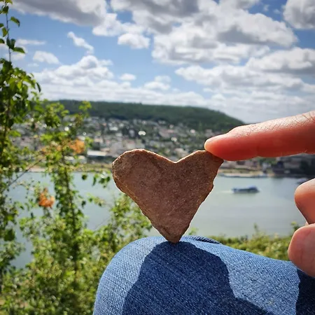 Altdeutsche Weinstube Rüdesheim am Rhein