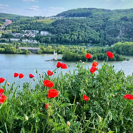 Altdeutsche Weinstube Hotel 3*