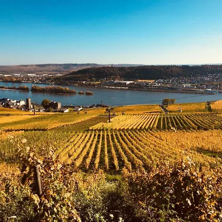 فندق Altdeutsche Weinstube 3*
