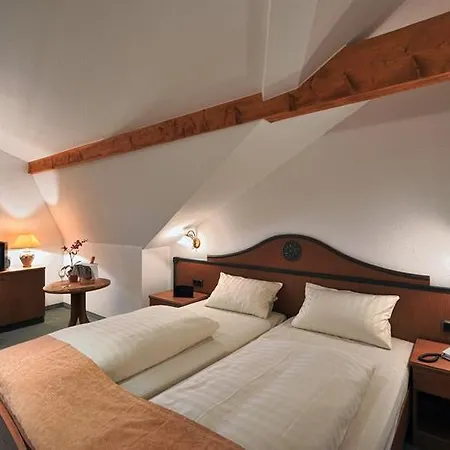 Altdeutsche Weinstube 3* روديسهايم ام رين