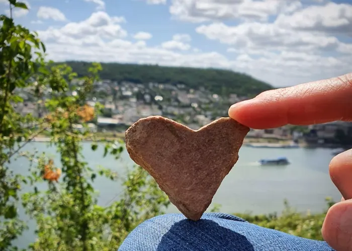Altdeutsche Weinstube Rüdesheim am Rhein