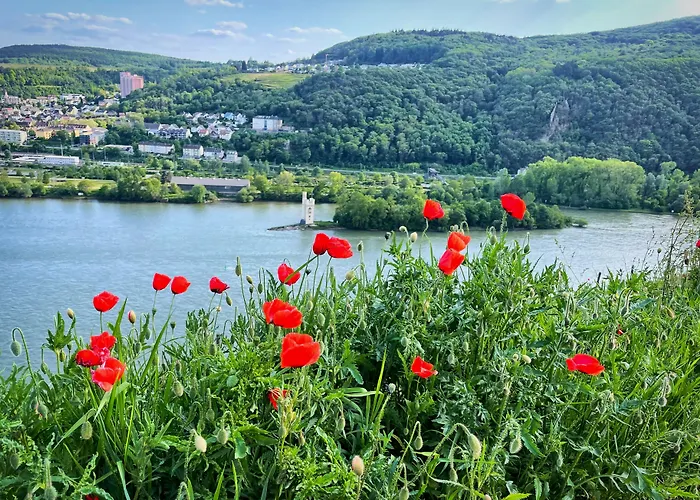 Altdeutsche Weinstube Hotell 3*