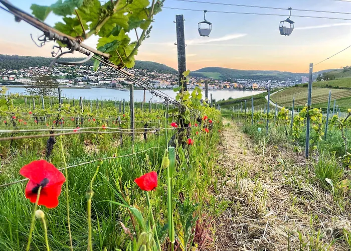 Altdeutsche Weinstube 3*