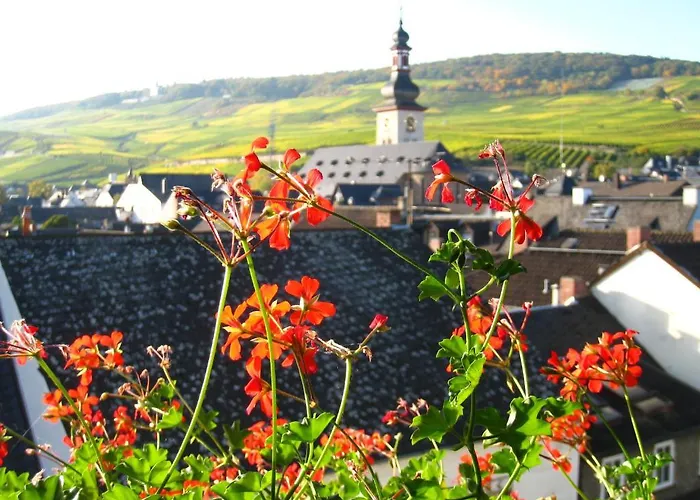 Altdeutsche Weinstube Hotell