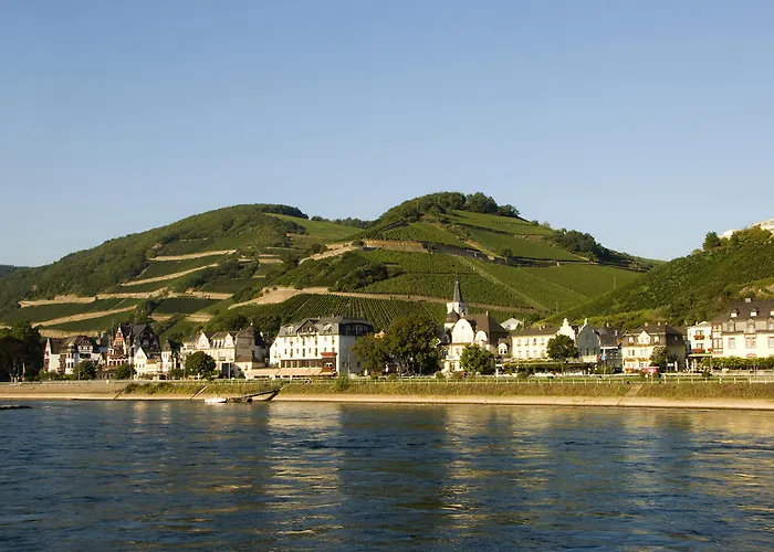Altdeutsche Weinstube Rüdesheim am Rhein