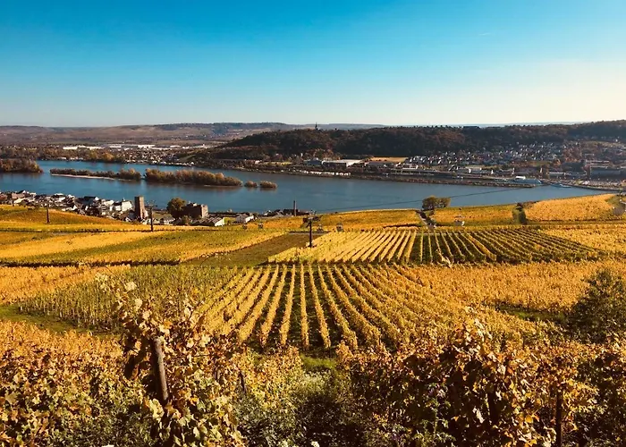 Hotell Altdeutsche Weinstube 3*